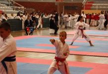 Održan memorijalni karate turnir u znak sjećanja na Vidoja Andrića