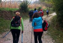Na planini Grkinja održana akcija čišćenja i markacija staza Na planini Grkinja održana akcija čišćenja i markacija staza