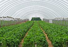 Poziv zainteresovanima da pohađaju obuku o zaštiti bilja