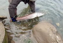 Za vikend takmičenje u lovu mladice