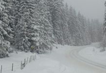 Putevi zasnježeni, ali prohodni