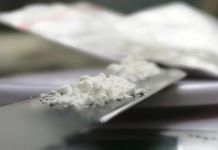 Uhapšeno lice sa Pala kod koga je pronađen kokain