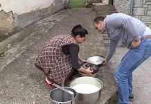 Počeo otkup mlijeka