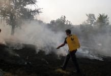 Za 34 dana ugašena 253 požara