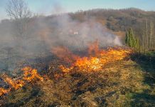 Апел грађанима да не изазивају пожаре Архивска фотографија