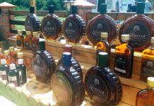 „Zdravica“ osvaja region