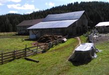 Porodica Lizdek – rekorder u prodaji mlijeka