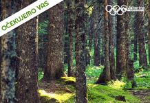 Sutra akcija pošumljavanja u kojoj će biti zasađeno 10.000 sadnica