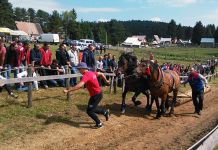 Na Štraparijadi snage odmjerilo 30 pari konja