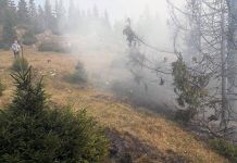 Radnici sokolačkog „Šumarstva“ i vatrogasci prate požarište