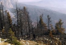 Helikopteri uspješno završili svoj posao