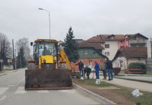 Novi drvored na Palama