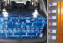 Pronađeno 7.000 kutija cigareta i 150 tableta metadona