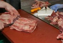 Meso domaćih svinja zdravo, trihinela u mesu divljači