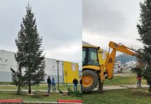 Postavljena novogodišnja jelka