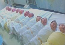 U prošloj godini najveći broj porođaja od 2011.