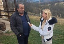 Cijeli život uz golubove