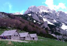 Perućica – evropski prašumski raritet i turistička atrakcija