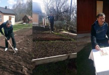 Bašta, golubovi i ukrštenice u vrijeme epidemije, uz pridržavanje mjera