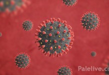 Novi slučaj zaraze korona virusom na Palama