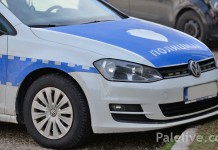 Pronađeno 16 trupaca jele i smrče bez šumskog žiga