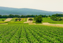 Poziv poljoprivrednicima da izlažu na sajmu 10. i 11. septembra