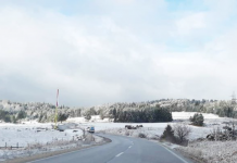 Putevi posuti, bez zastoja u saobraćaju