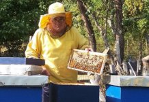 Pčelinjacima neophodna briga, u skladu sa zaštitnim mjerama