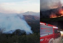 Vatrogasci predani svome radu