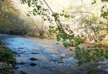 Zahvalnost načelniku na spremnosti da se riješi problem izgradnje hidrocentrale