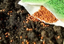 Podjela sjemenskih paketa za proljećnu sjetvu