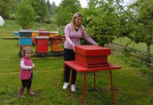 Pčelama poklanja pažnju, a one njoj volju za rad