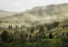 Na foto-konkurs „Proljeće na Palama“ prijavljeno 66 radova