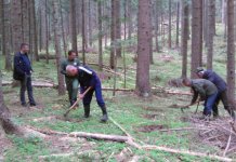 Kosorić: Prioritet njega i zaštita kultura