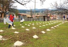 Kojadinovići sa borovnicama izlaze u svijet