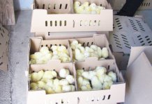 Žene dobile pakete pomoći