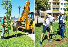 Savjet mladih sprovodi projekat „Vratimo osmijeh planeti“