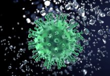 Virusom korona zaraženo još 25 lica