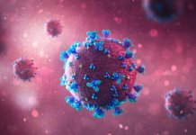 Virus korona potvrđen kod 109 osoba u RS