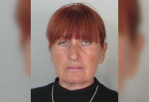 Potraga za nestalom Nadom Dobrilović