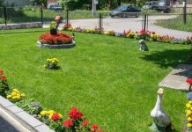 Branki Bašević nagrada za najljepše uređeno dvorište