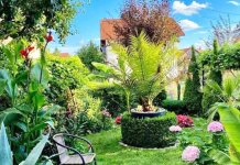 Najljepše dvorište Stefana Jolovića, a balkon Slavice Bijeljanin