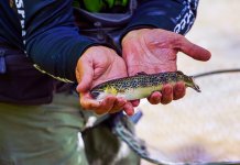 Ribolovci poribili Biošticu u mjestu Žunovi