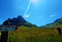 Prvi „Sutjeska trejl“ oduševio planinske dugoprugaše