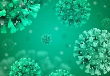 Od testiranih 489 uzoraka pozitivno 79, umrla dva lica