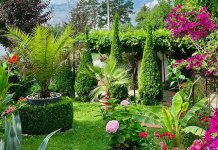 Stefanova „Mediteranska priča na Romaniji“