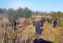 U toku pošumljavanje goleti