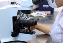 Otkriven jedan slučaj trihinele