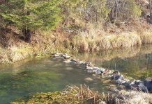 Ribolovci napravili vještački brzak