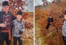 Badnjak – simbol porodičnog blagostanja